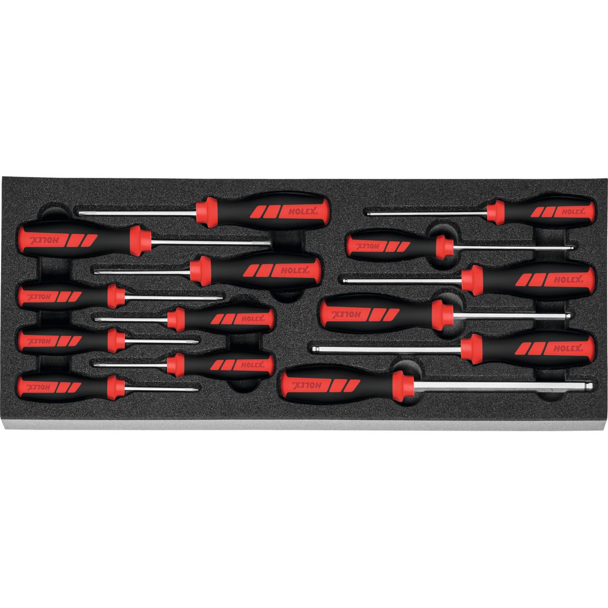 BỘ TUA VÍT HOA THỊ VÀ LỤC GIÁC 14 CHI TIẾT HOLEX 953190 14 BỘ TUA VÍT HOA THỊ VÀ LỤC GIÁC 14 CHI TIẾT HOLEX 953190 14